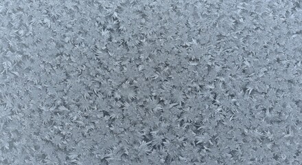 Intricate Ice Crystal Formations on Glass Surface: A Winter's Artistry