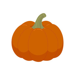 Vector pumpkin in flat style on white background