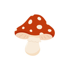 Vector illustration of fly agaric on a white background