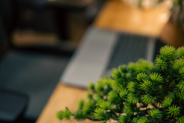 A warm and cozy desk setup featuring triple monitors, notebook, microphone, and green plants, styled in a minimalist Japanese aesthetic for creative work.