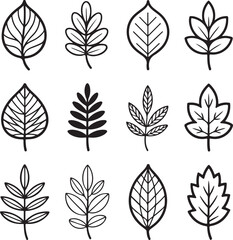Decorative Leaf Doodle Vector Set in Hand Drawn Style