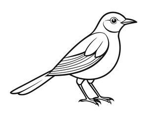 nightingale line art silhouette vector illustration