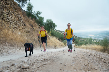 Active Couple Hiking in Scenic Mountain Trail with Pet Dog