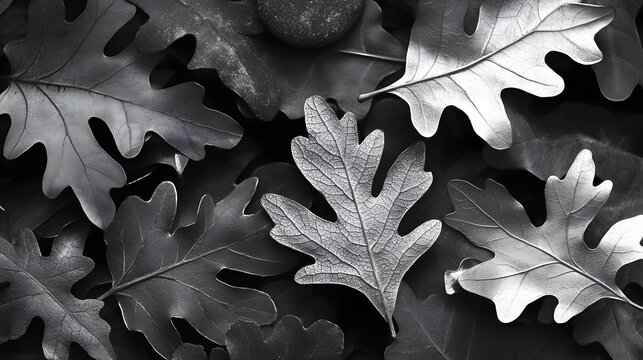 Elegant Silver Oak Leaves Autumn Nature Background