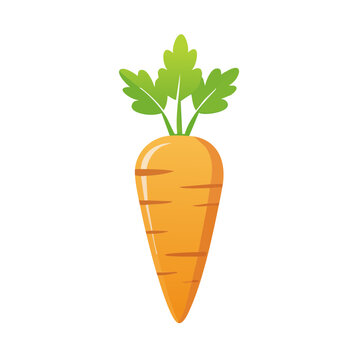 orange carrot with green leaves clip art preview