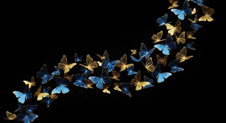 A scattering of blue and gold butterflies on black background