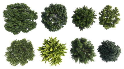 Aerial view of various treetops. Collection of different tree crown shapes and colors.