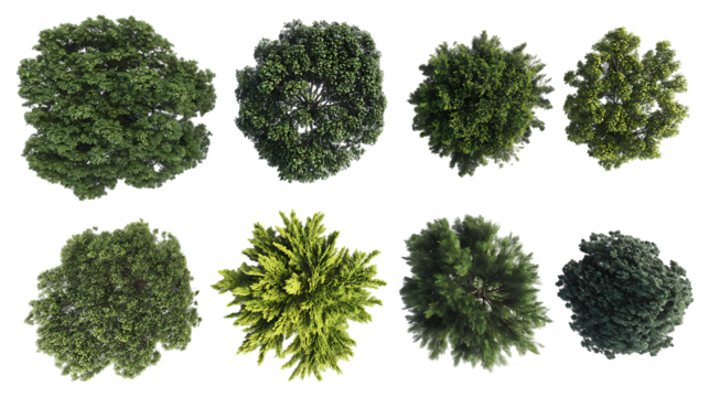 Aerial view of various treetops. Collection of different tree crown shapes and colors.