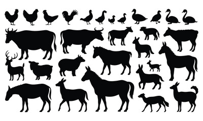 Animal Silhouettes Collection