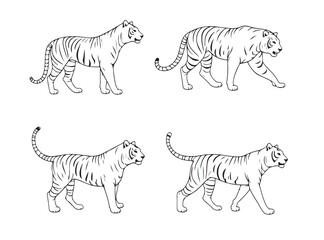 Tiger Illustration Pack – Monochrome Wildlife Line Art on White Background