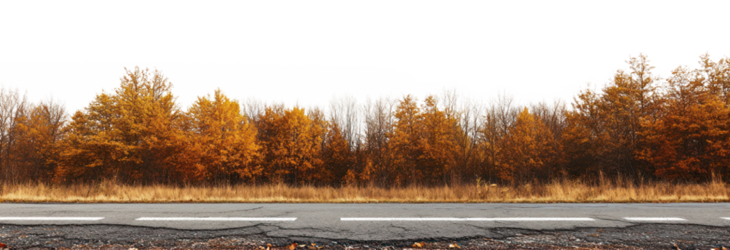 PNG Real asphalt road autumn trees landscape. - Powered by Adobe