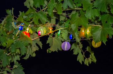 decorative lamps and lanterns