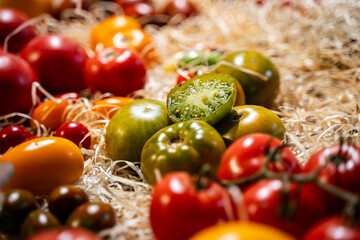Farm tomatoes in the market 