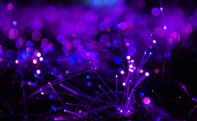 Abstract lights and bokeh form of purple fiber optics glow in a surreal night field