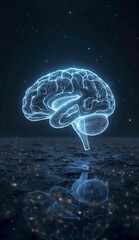 "Cosmic Mind Reflection: Journeying Through the Universe Within"