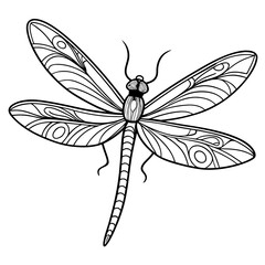 dragonfly vector illustration