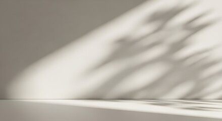 Empty cream beige room studio with shadow of leaves for product presentation. Autumn background. Summer tropical backdrop. Cosmetic showroom