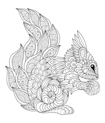 Squirrel with a nut - vector coloring page in doodling style for adults and children