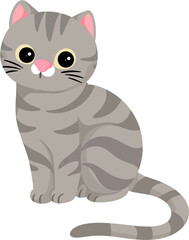 illustration american shorthair