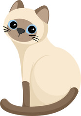 illustration siamese