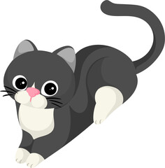 illustration tuxedo cat