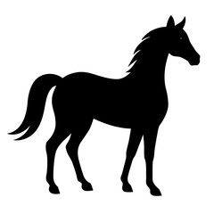 Black horse silhouette standing animal mammal