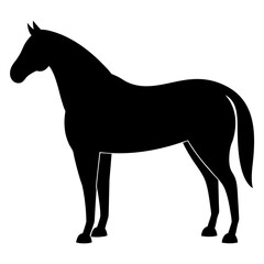 Black horse silhouette standing still white animal
