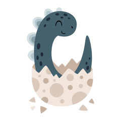 Cute sauropod dinosaur hatchlings in cartoon vector style. © JulzaArt