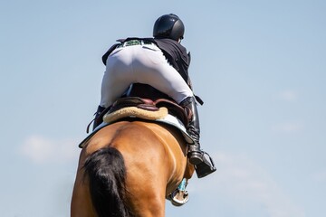 Equestrian sports horse jumping themed photo