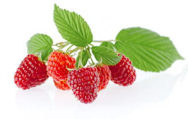 Raspberry with leaves isolated on white background