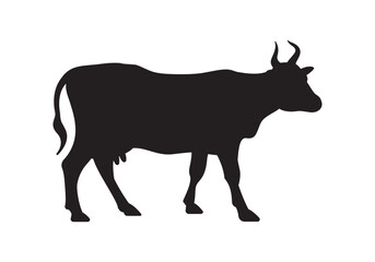 silhouette of a cow