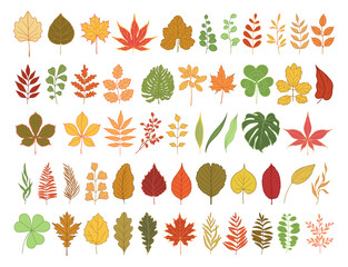 Collection of different colored leaves and branches of trees and plants. Maple, chestnut, linden, birch, oak leaves. Vector simple flat illustration