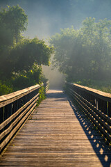 Sun Rays and Morning Mist Over the Boardwalk at Hendrie Valley Sanctuary