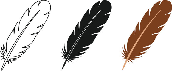 Three feathers are displayed in a vector set, showcasing a line drawing, a solid black silhouette, and a brown feather with detailed barbs, perfect for design elements.