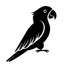 Fototapeta premium Parrot Black Glyph Icon