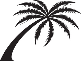 Obraz premium Black palm tree silhouette white tropical image