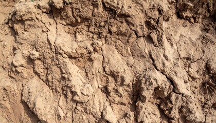 Detailed Brown Sediment Texture Showing Organic Erosion And Surface Grain Patterns With Rough Details