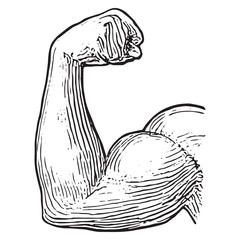 Detailed Flexed Bicep Muscle Sketch for Fitness and Bodybuilding Art