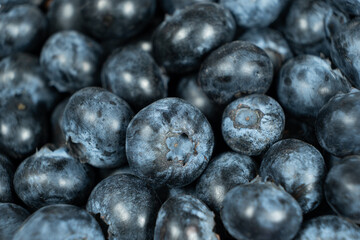 Macro View of Organic Blueberries. Natural Berry Background.