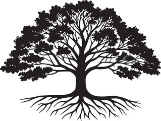 Majestic oak tree silhouette with visible roots black and white