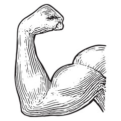 Detailed Flexed Bicep Muscle Sketch for Fitness and Bodybuilding Art