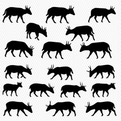 A collection of black silhouette illustrations of Chamois, a goat-antelope species, in various standing and grazing poses against a transparent background.