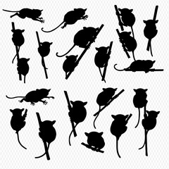 Silhouette illustration of multiple tarsiers in various poses, clinging to branches and leaping, against a transparent background.