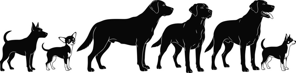 Silhouettes of various dog breeds, different sizes, black and white vector, pet animal illustration, canine diversity, graphic design, comparison