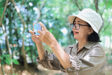Asian elderly woman exploring forest with smartphone.