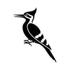 Fototapeta premium Woodpecker Black Glyph Icon