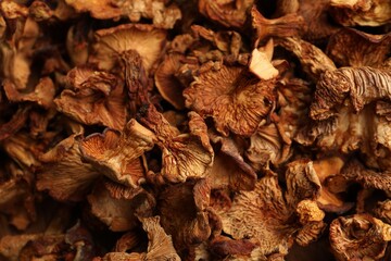 Many dried chanterelle mushrooms as background, closeup