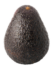 One black avocado isolated on white background