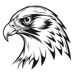 Obraz premium falcon's face with white background unique design