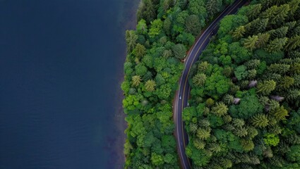 Serene forest road curving beside dark blue lake
